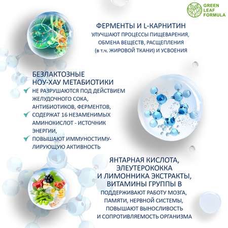 Набор для детокса и очищения Green Leaf Formula метабиотик спирулина ферменты для кишечника