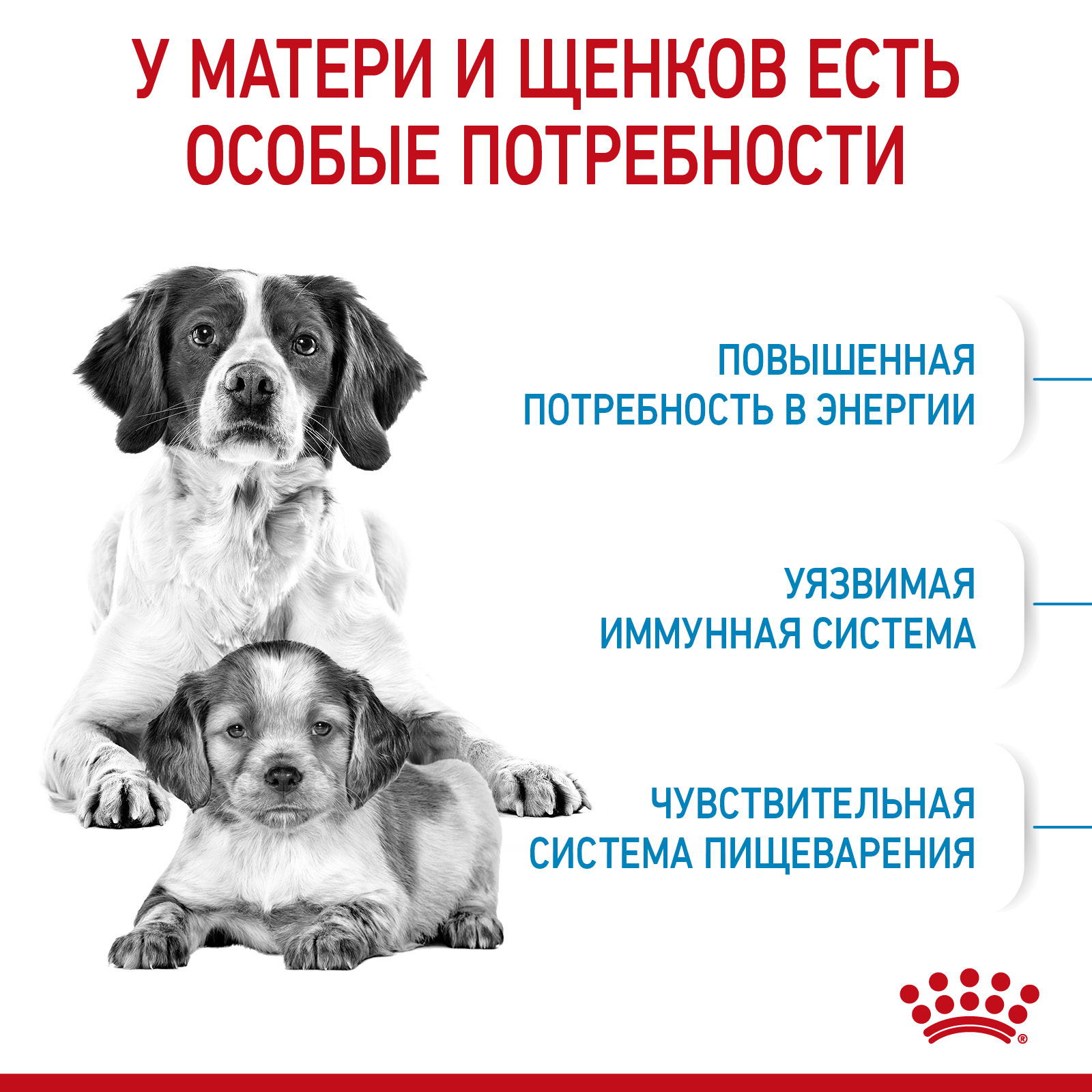 Корм для щенков беременных и кормящих Royal Canin 12кг Medium Starter средних сухой - фото 2