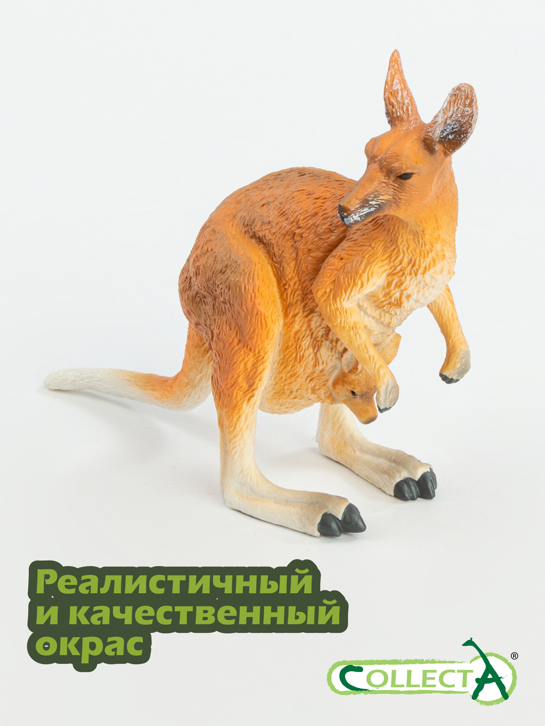Фигурка Collecta Кенгуру красный самка - фото 4