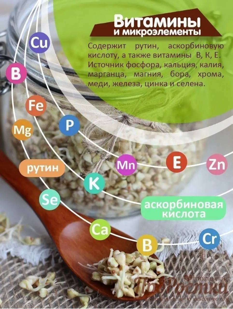 Семена для микрозелени Никольские ПроРостки гречка зеленая - фото 4