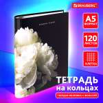 Тетрадь Brauberg клетка