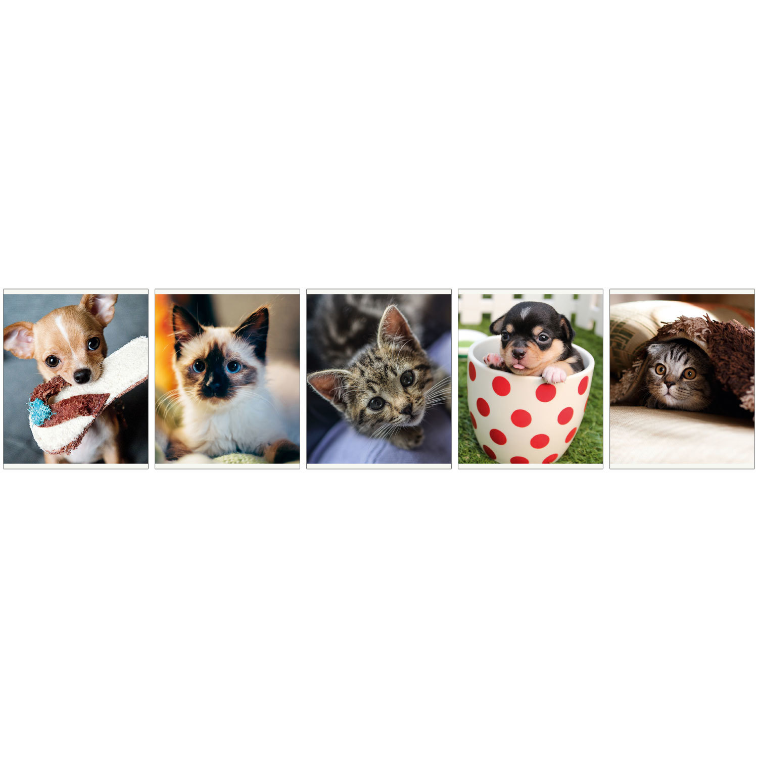 Изображение товара Общая тетрадь Полиграф Принт клетка 48 лист. в ассортименте