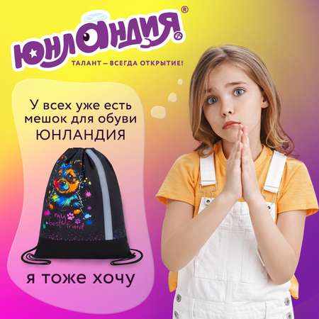 Мешок для обуви Юнландия