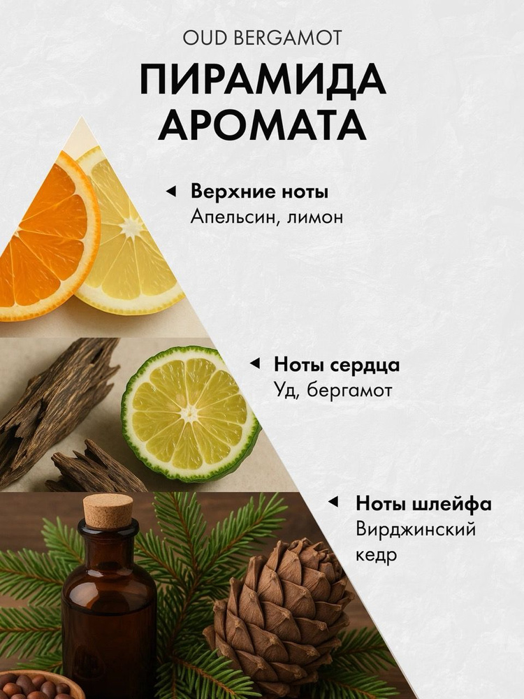 Диффузор с сухоцветами в Премиум тубусе Accents Oud Bergamot - фото 3