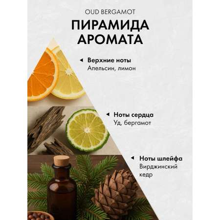 Диффузор с сухоцветами в Премиум тубусе Accents Oud Bergamot
