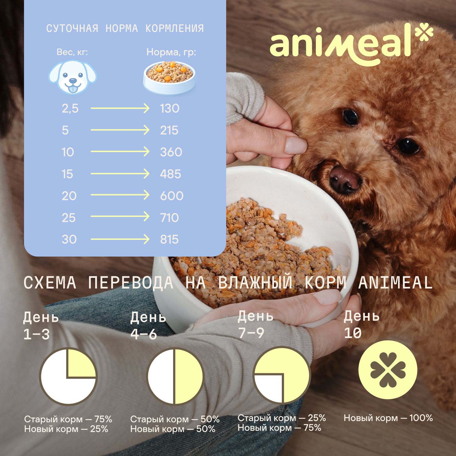 Корм для собак полнорационный натуральны animeal из мяса говядины на пару для взрослых собак всех пород 500г - фото 6