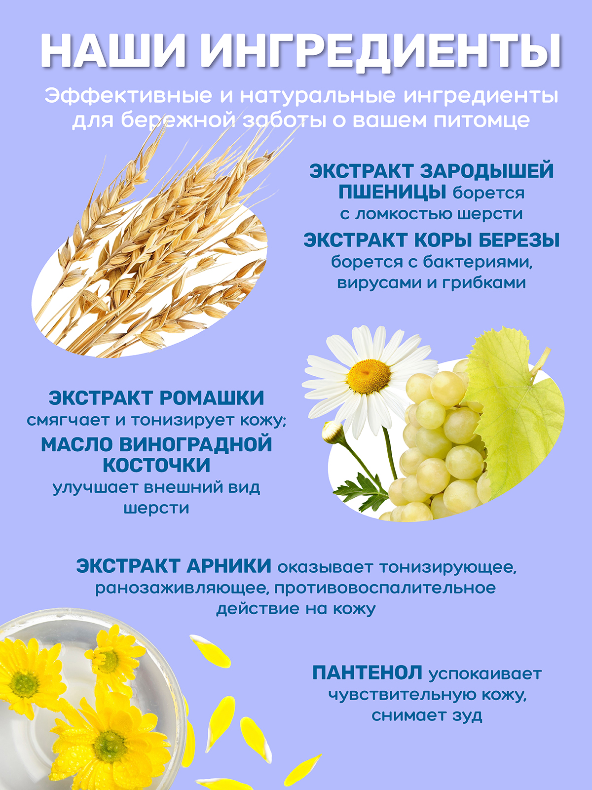 Пенка-шампунь ZOORIK для щенков и котят 150 мл - фото 5