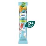 Фруктовые кусочки ФрутоНяня из груш яблок слив и ананасов с 12 мес 16 г