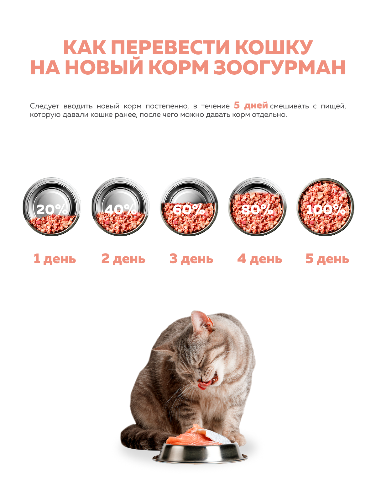 Корм влажный Зоогурман Мясное суфле с рыбой 100 гр х 20 шт - фото 6