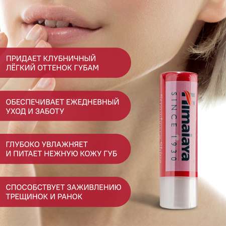 Гигиеническая помада Himalaya 2 шт.