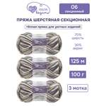Пряжа для вязания Люблю Вязать Шерстяная секционная 100 г 125 м 3 шт