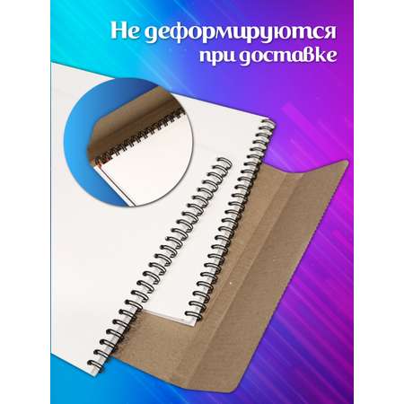 Альбом ШКОЛЬНЫЙ МИР Детский А4 40 лист. 2 шт.