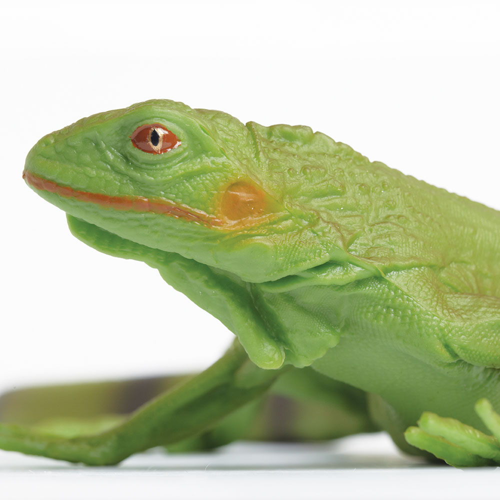 Фигурка Safari Ltd. Ящерица Игуана XL - фото 4