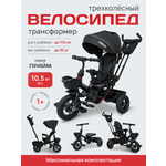 Трехколесный велосипед Velobibi 10 дюймов