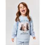 Свитшот Acoola