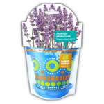 Набор для выращивания Happy Plant
