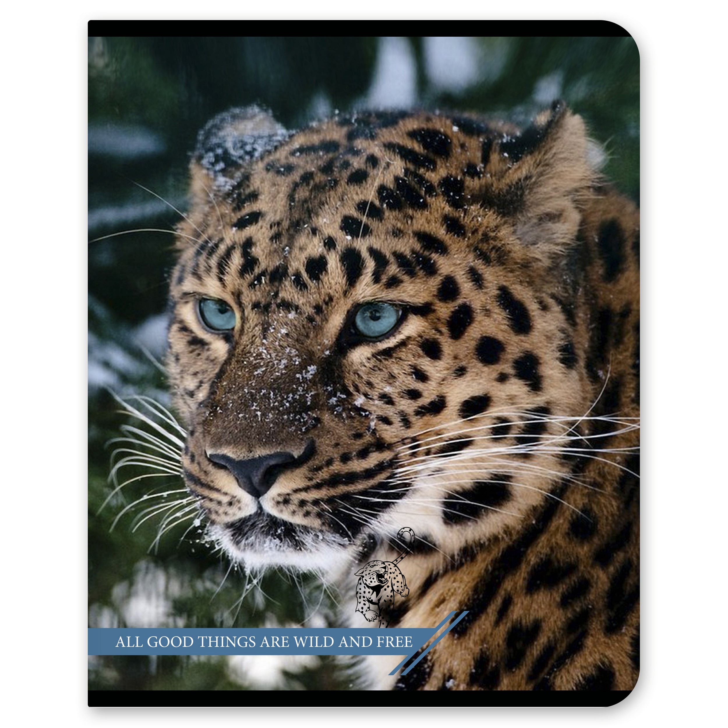 Общая тетрадь Полиграф Принт клетка 96 лист. в ассортименте - фото 4