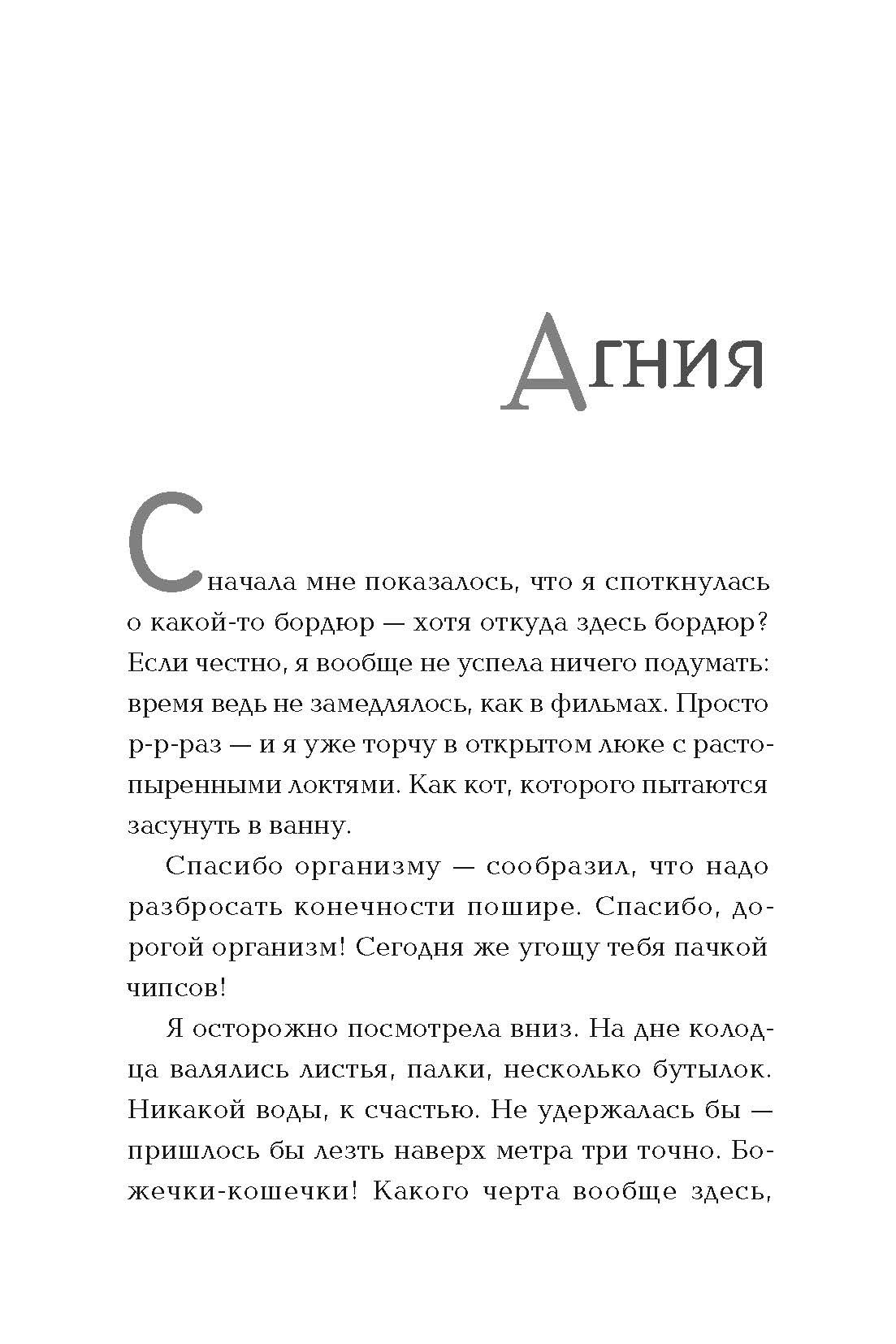 Книга Пять четвертей Сломанная собачка - фото 4