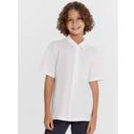 Рубашка Mark Formelle (Марк Формэль)