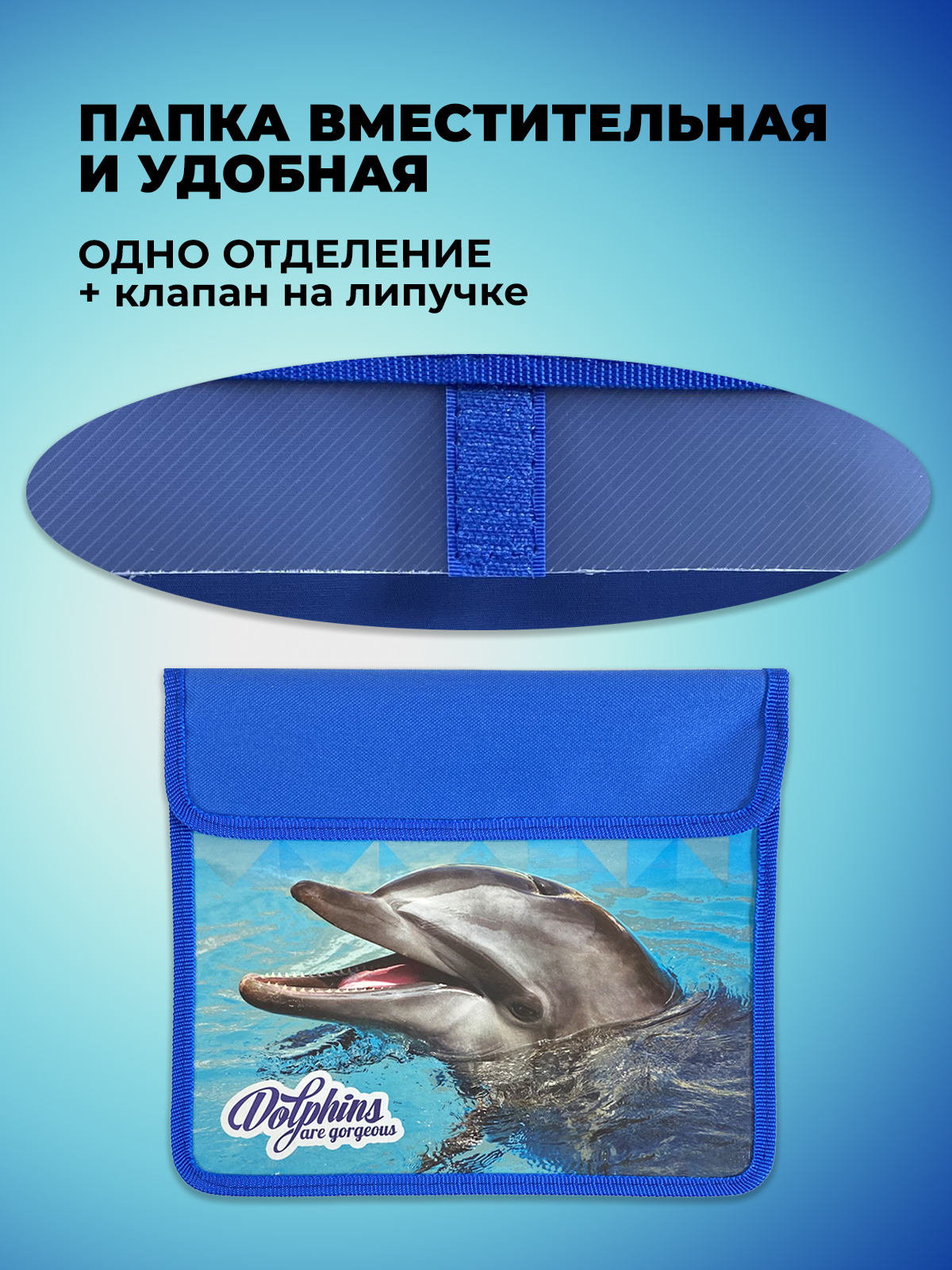 Папка для тетрадей Cancburg А5 - фото 4