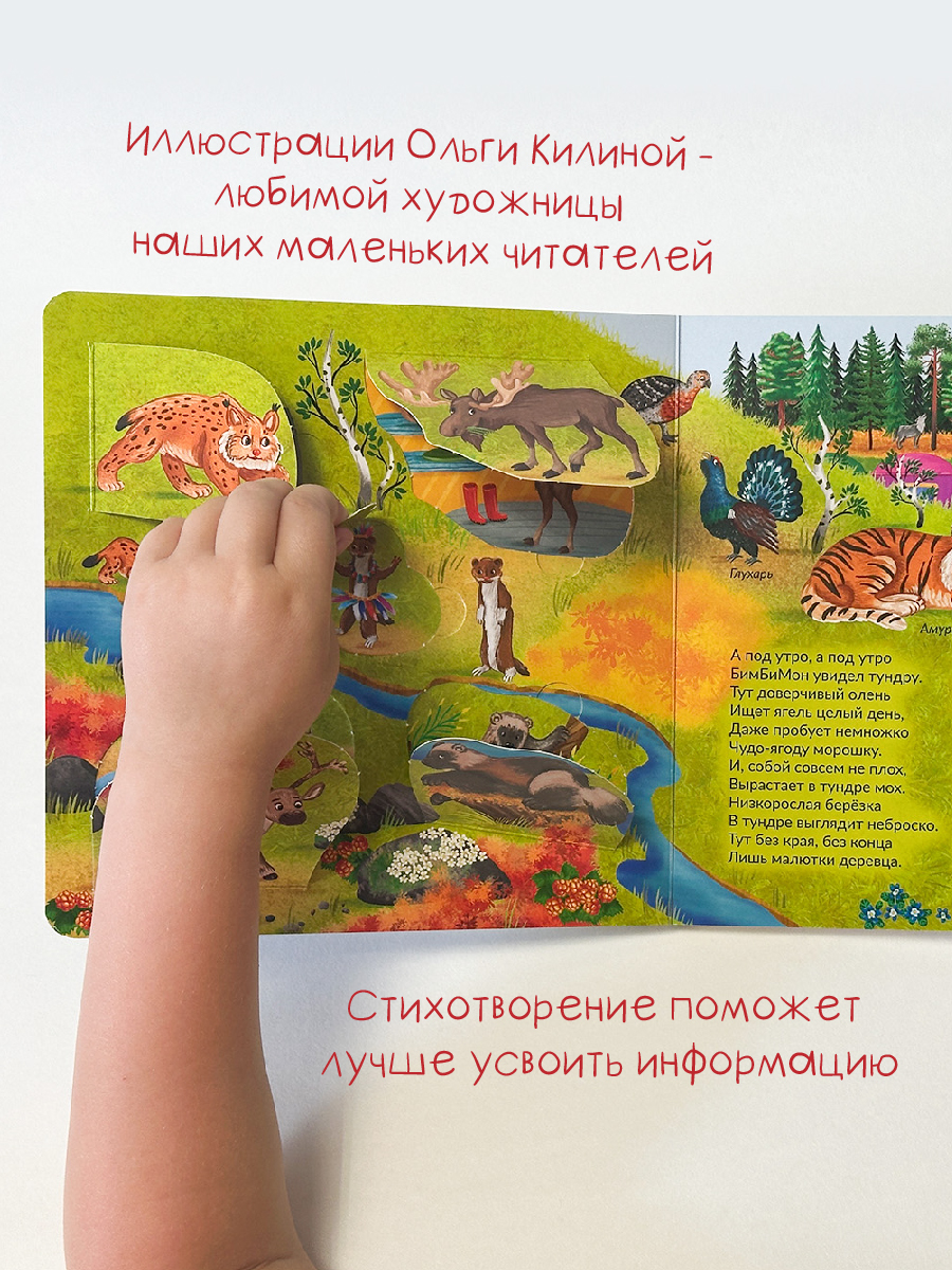 Детская книга БимБиМон для малышей с окошками Виммельбух про животных - фото 3