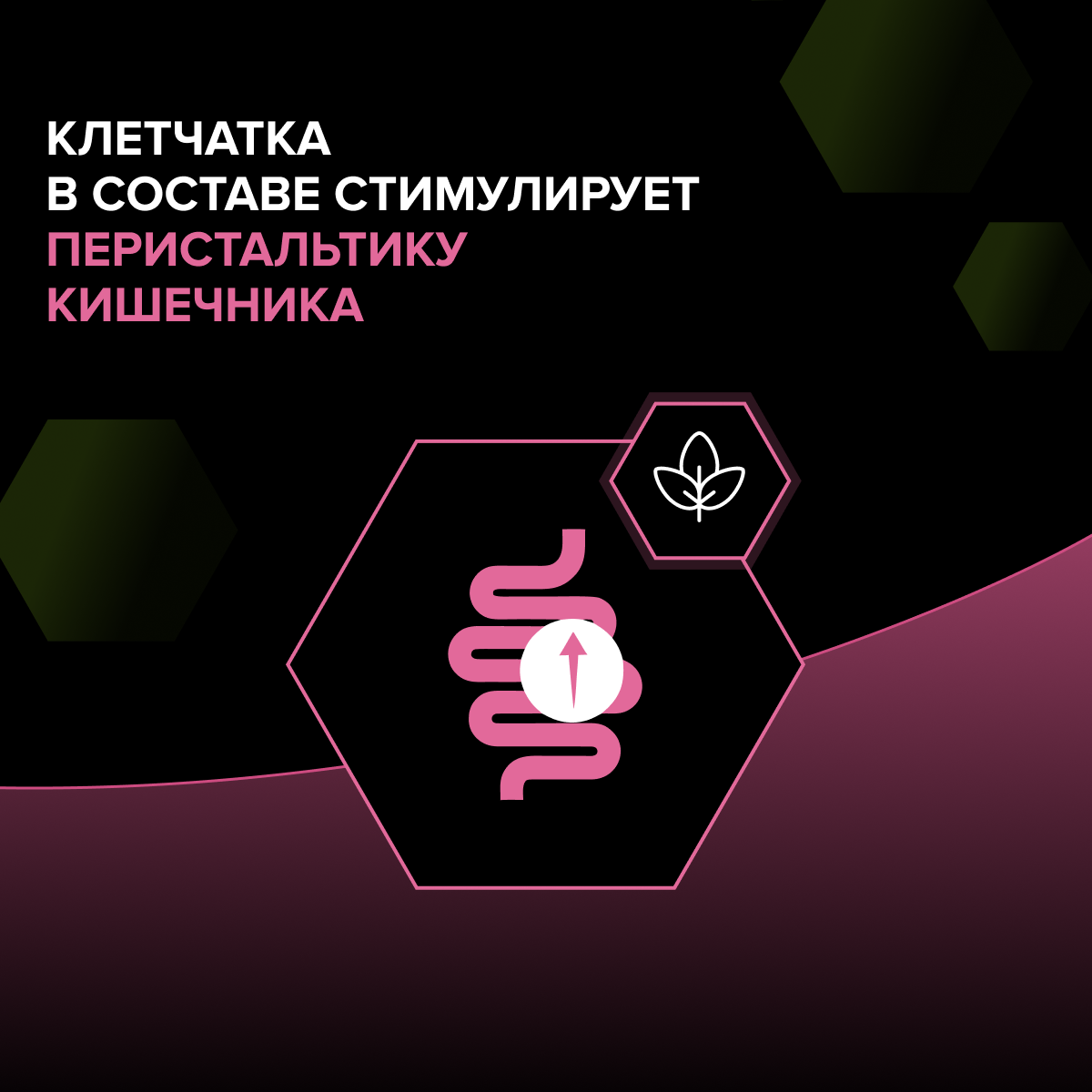 Корм для кошек сухой PRO PLAN Sterilised Adult Delicate Digestion для взрослых стерилизованных кошек с курицей - фото 5