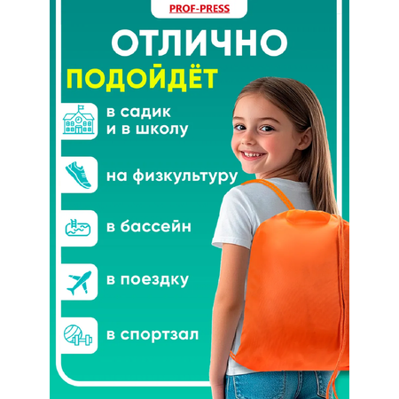 Мешок для обуви Prof-Press