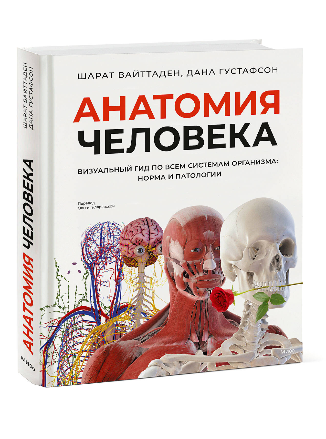 Книга МИФ Анатомия человека. Визуальный гид по всем системам организма: норма и патологии - фото 4