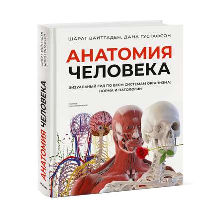 Книга МИФ Анатомия человека. Визуальный гид по всем системам организма: норма и патологии