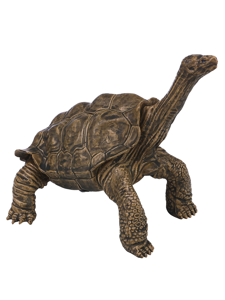 Игровой набор Masai Mara Черепаха - фото 3