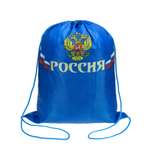 Мешок для обуви Prof-Press
