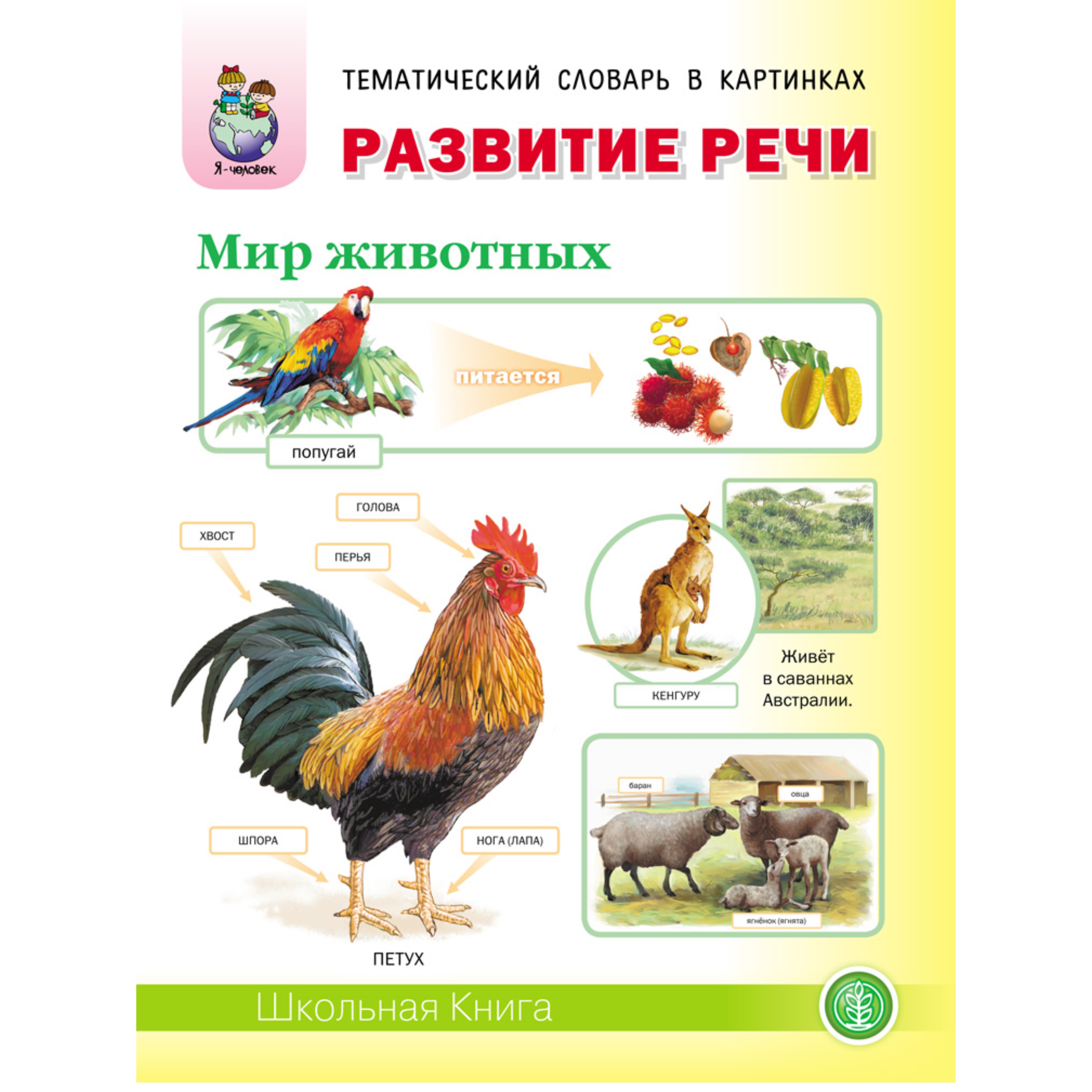Книга Школьная Книга Развитие речи Мир животных Домашние и дикие животные и птицы жарких и холодных - фото 1