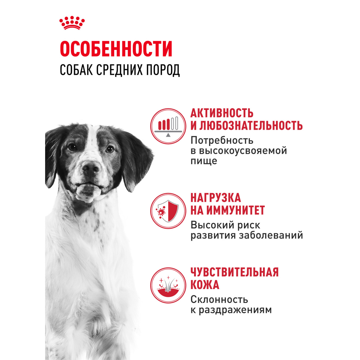 Корм для собак ROYAL CANIN Medium Adult консервированный полнорационный для взрослых собак средних размеров - фото 5