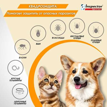 Таблетки для кошек и собак Inspector Quadro Tabs 0,5-2 кг
