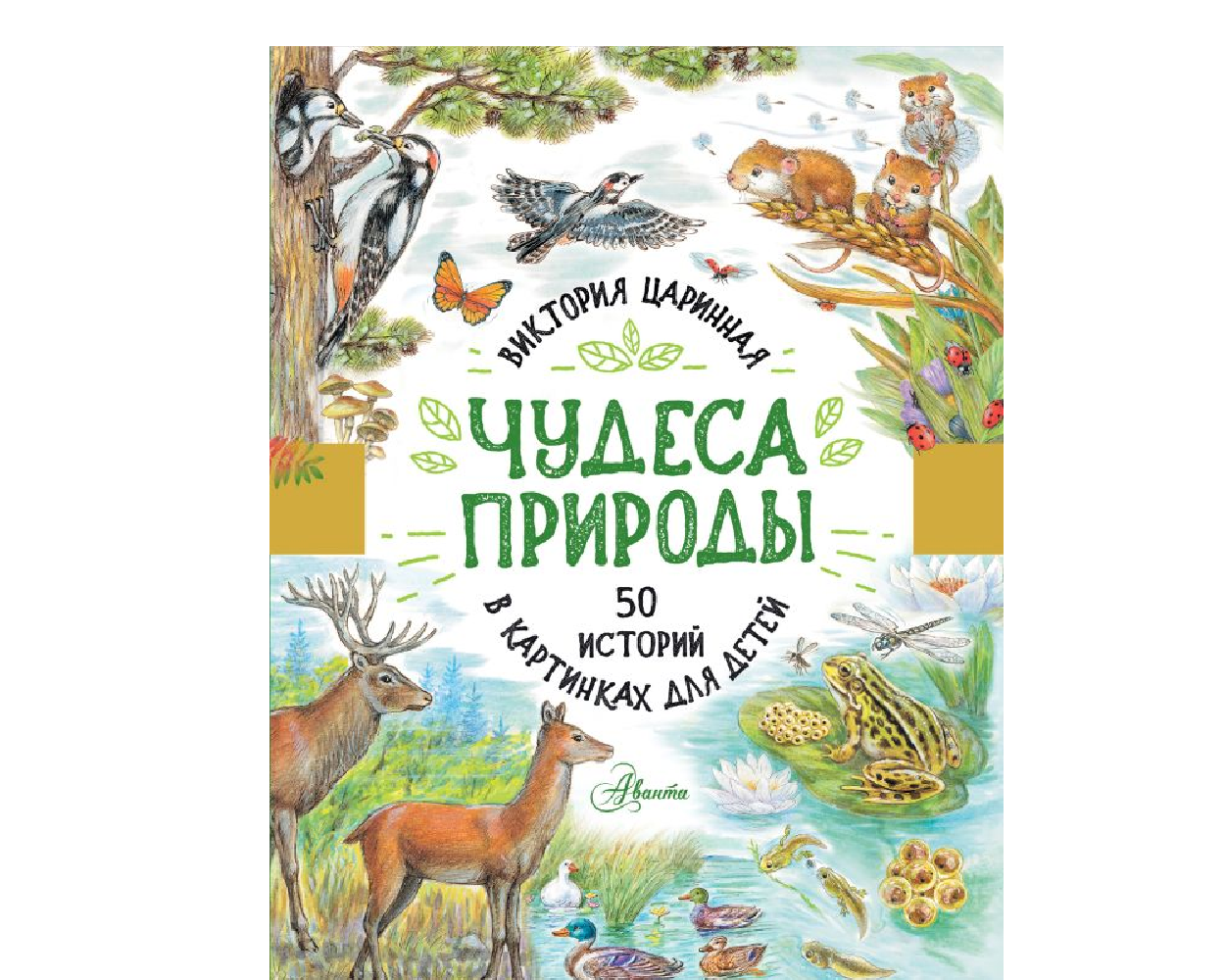 Книга АСТ Чудеса природы. 50 историй в картинках для детей - фото 1