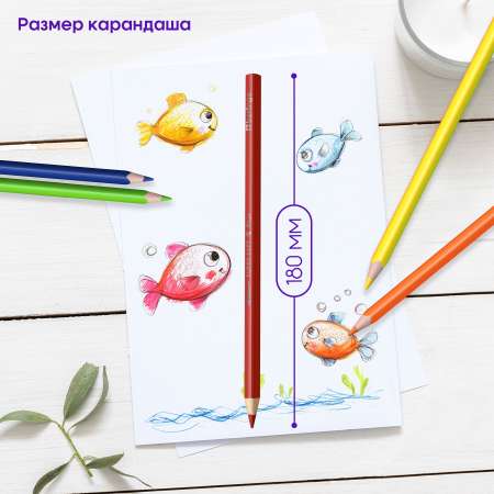 Карандаши цветные BERLINGO 72 шт.