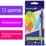 Карандаши акварельные Brauberg 12 шт.