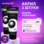 Краски акриловые Brauberg 2 цв.