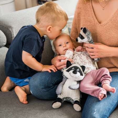 Прорезыватель Babyono Енот Rocky в ассортименте