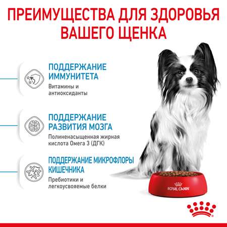 Корм для щенков ROYAL CANIN X-small Puppy миниатюрных пород 500г