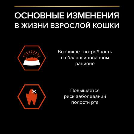 Корм сухой для кошек PRO PLAN 1.5кг с лососем