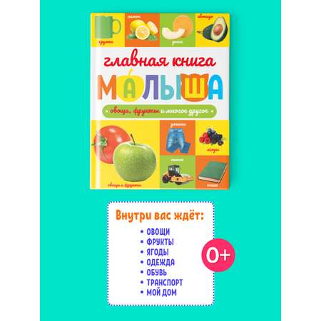 Книга Проф-Пресс Главная книга малыша. Овощи фрукты и многое другое