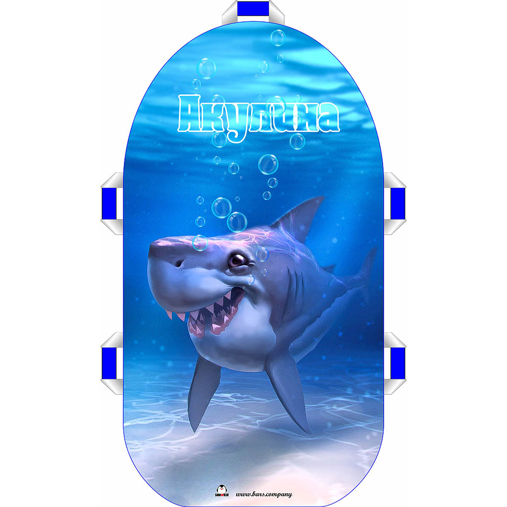 БАРС компания 80 см - фото 1