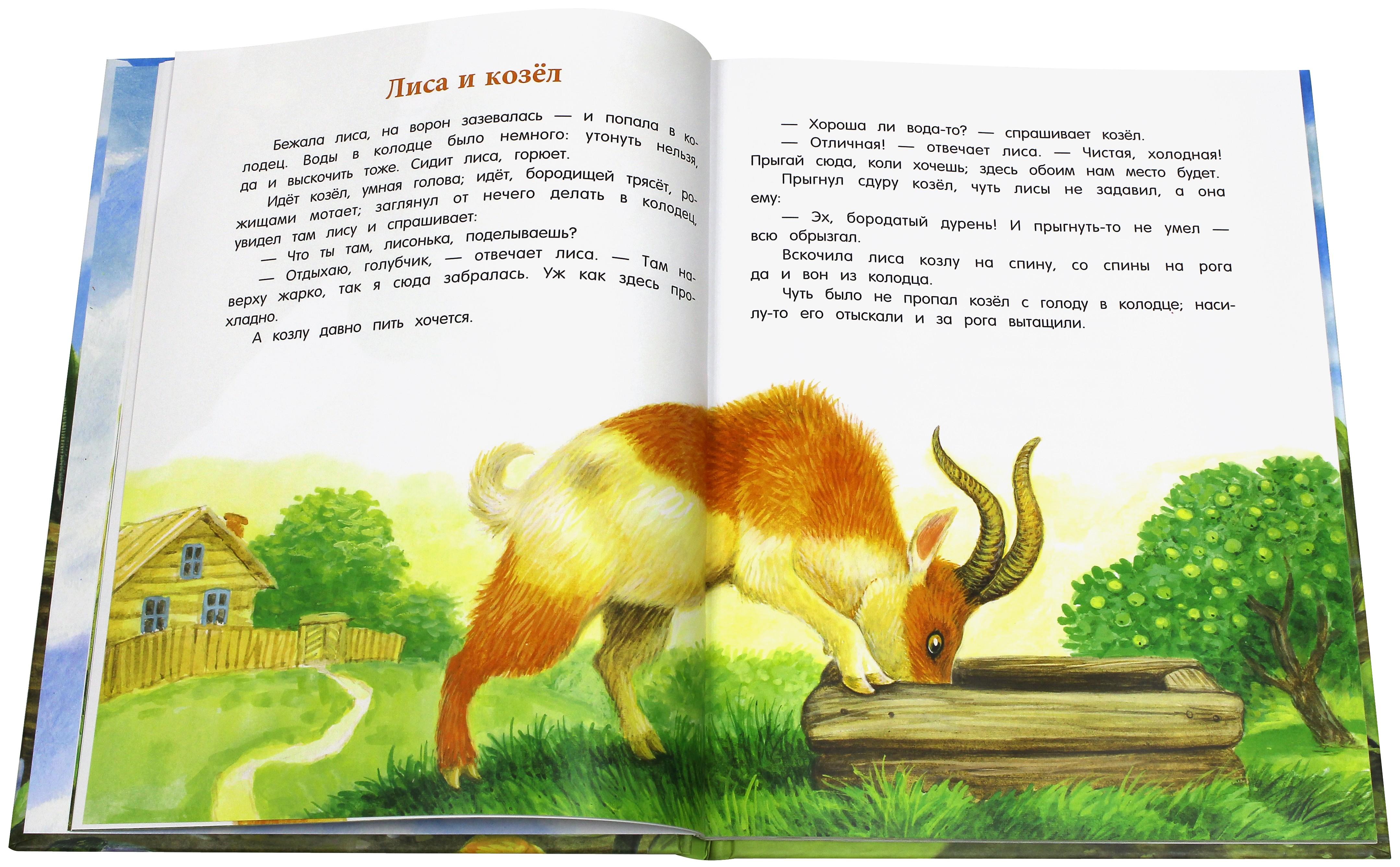 Книга Лабиринт Лягушка путешественница - фото 3