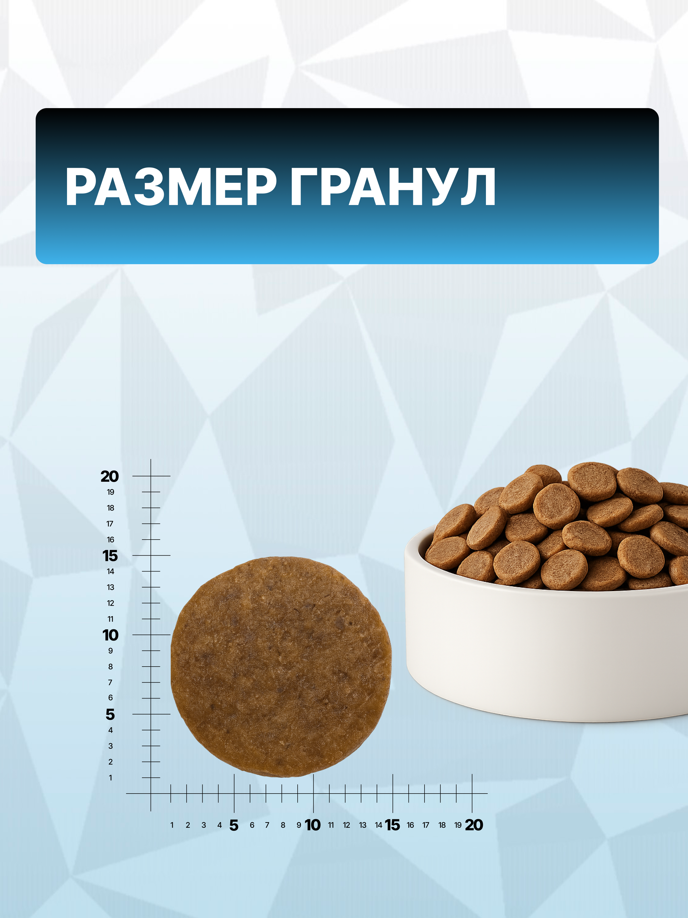 Корм сухой для взрослых собак средних пород Grand Prix Medium Adult ягненок, 12 кг - фото 7