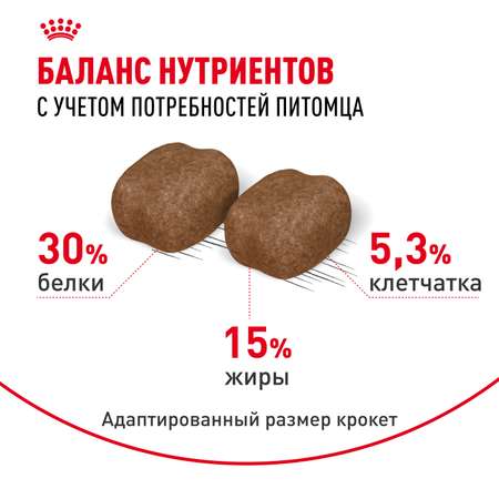 Корм для кошек ROYAL CANIN Dental Care для профилактики образования зубного налета и зубного камня 1.5кг