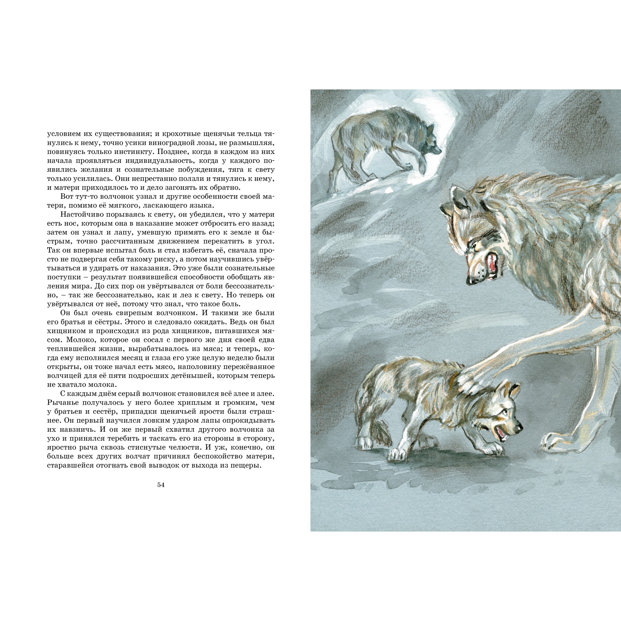 Книга Махаон Белый Клык Лондон Дж. Серия: Яркая ленточка - фото 7