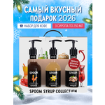 Набор сиропов SPOOM Ваниль Карамель Миндаль для кофе 3шт 250мл + 3 дозатора