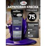 Краски акриловые Gamma_