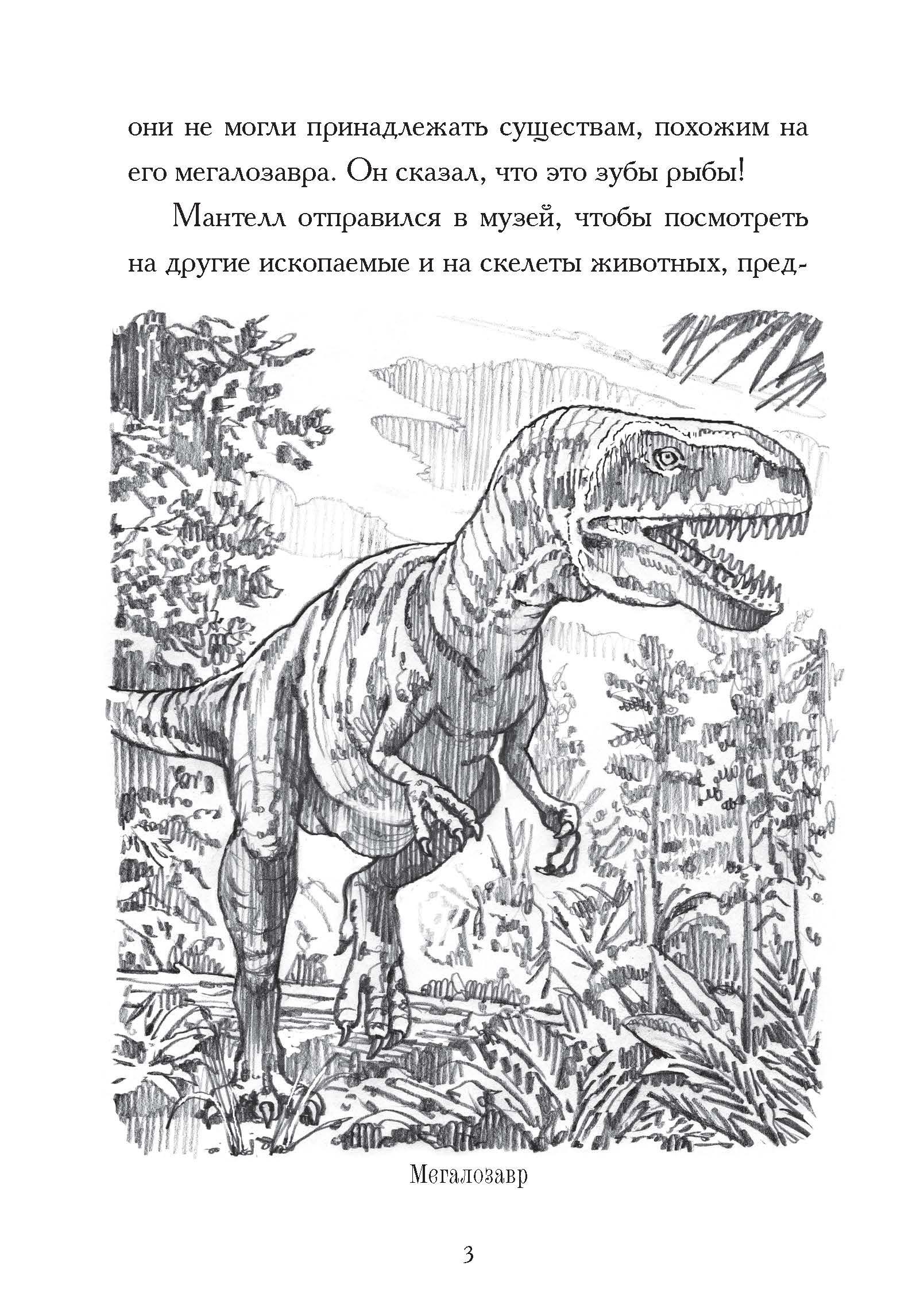Книга Издательство Карьера Пресс Какой была эпоха динозавров? - фото 8